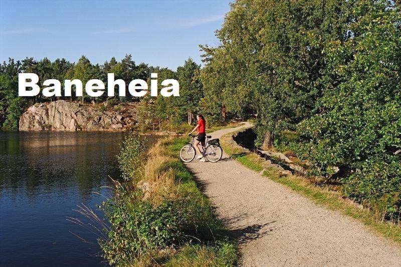 Baneheia-studios & *